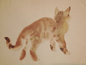 IMG_20260521_214253