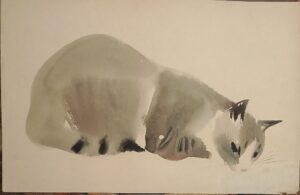 IMG_20260521_214340
