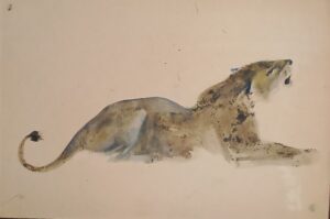 IMG_20260521_214438